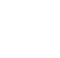 Direct Action