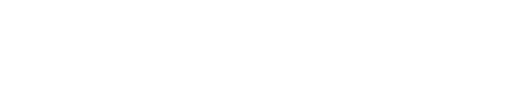Holosun