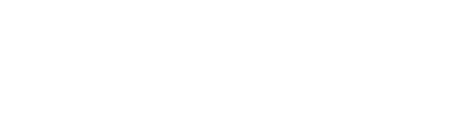 Intelic