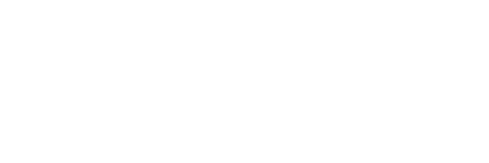 Nobel Sport