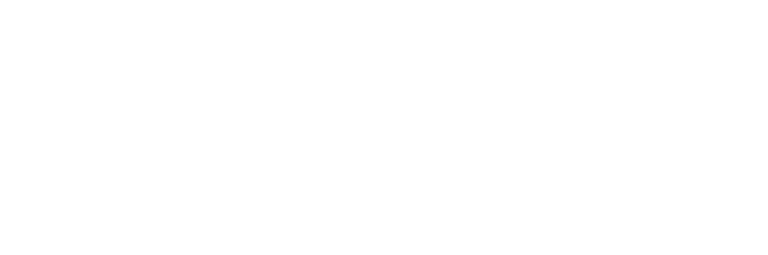 ProSafe